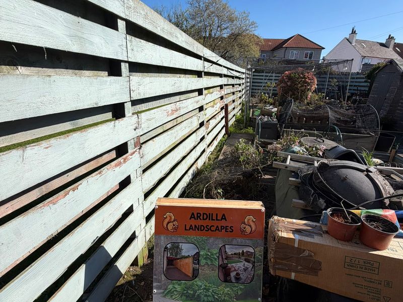 Weathered garden fence before restoration in Dundee