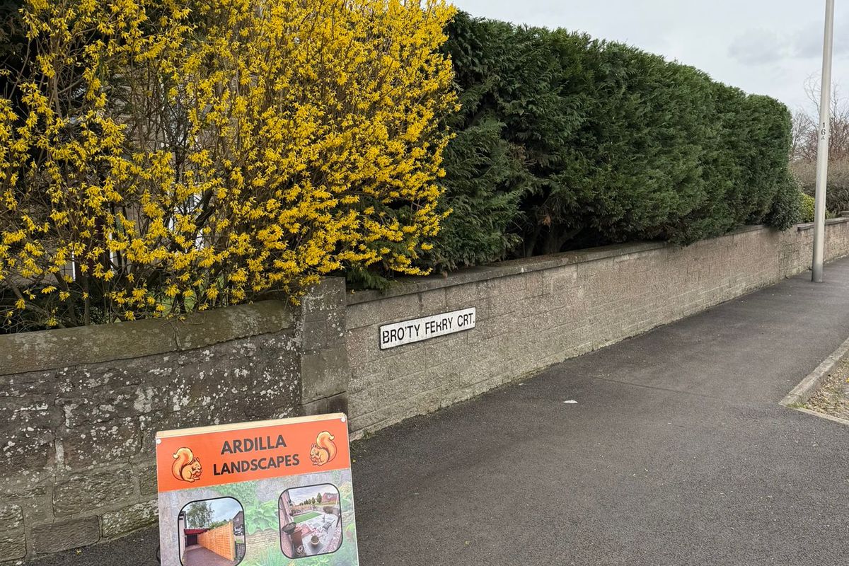 Neatly trimmed garden hedge by Ardilla Landscapes