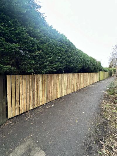After: Boundary fencing alongside leylandii hedge, Dundee