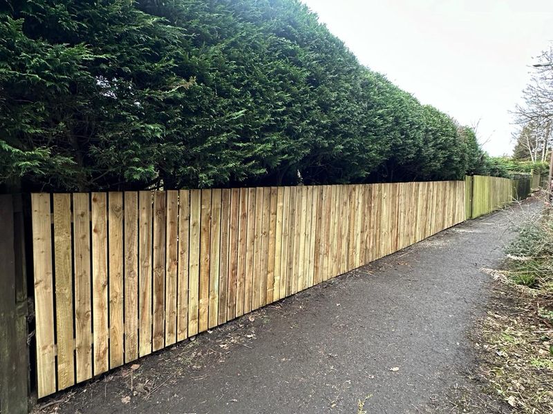 Boundary Fencing by Ardilla Landscapes in Dundee