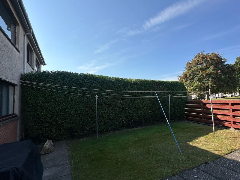 Boundary Hedge Maintenance by Ardilla Landscapes in Dundee