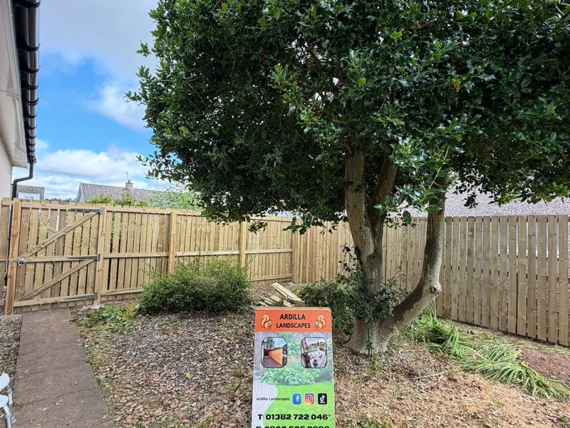Front Garden Clearance and Fencing by Ardilla Landscapes in Dundee