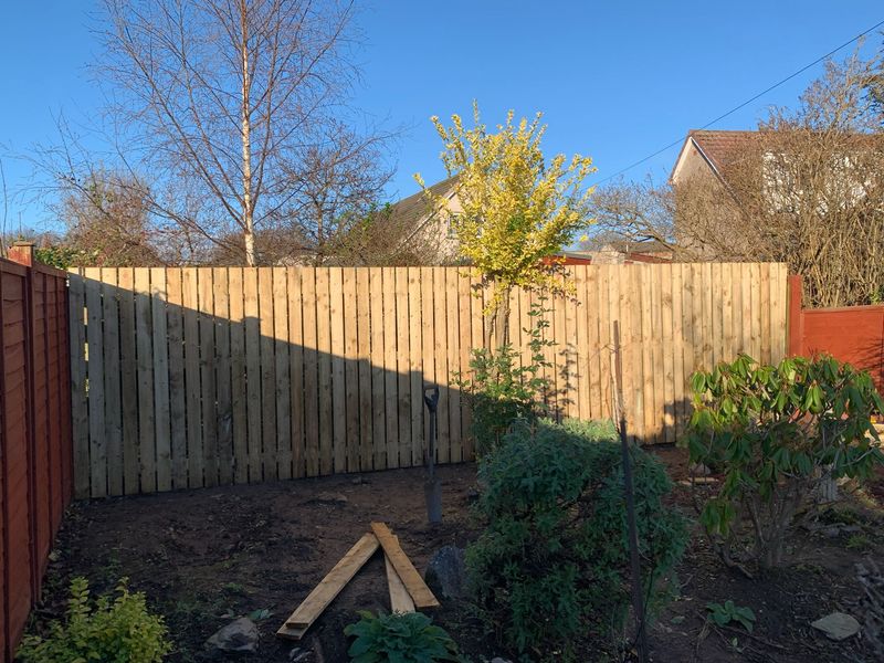 Garden Boundary Fencing by Ardilla Landscapes in Dundee