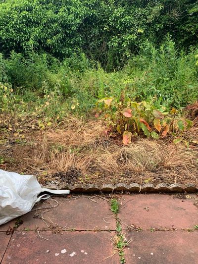 Before: Full rear garden lawn-to-gravel conversion, Stobswell, Dundee