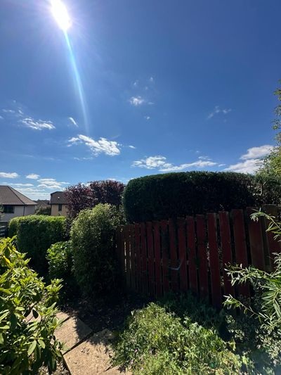 After: Garden hedge trimming, Dundee