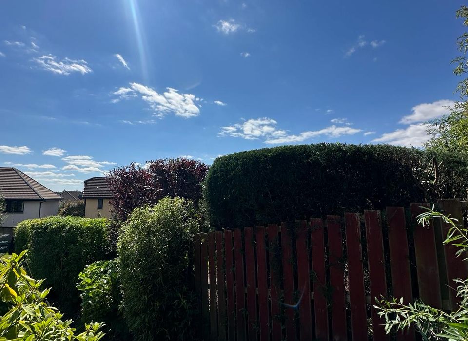 Hedge trimming completed by Ardilla Landscapes in Dundee
