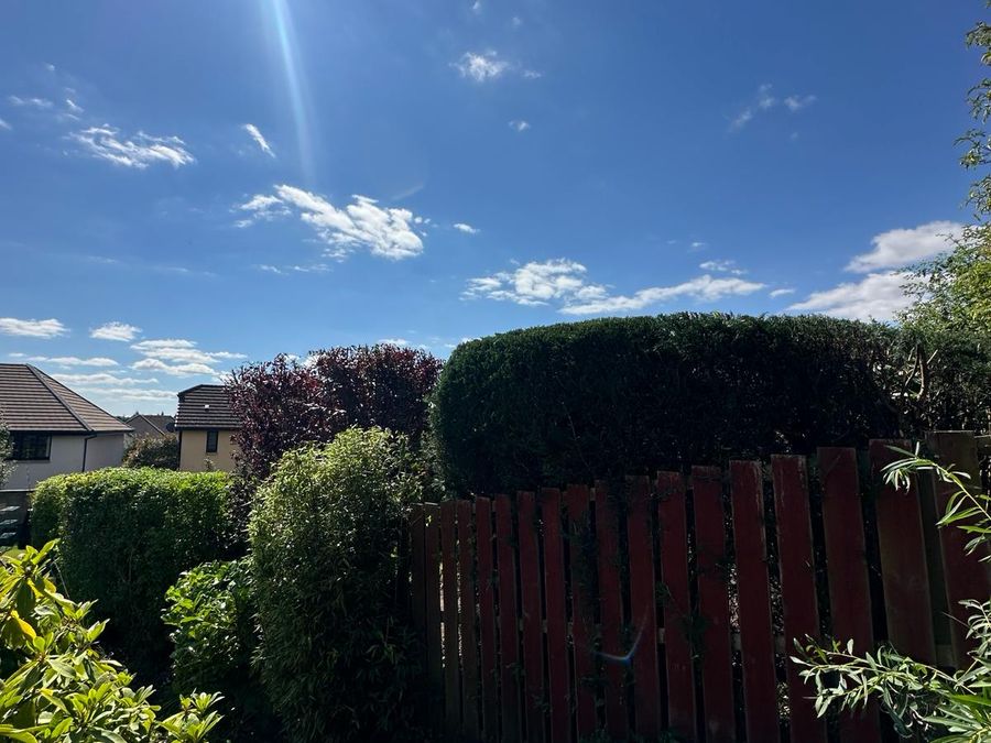 Neatly trimmed hedge after Ardilla Landscapes visit