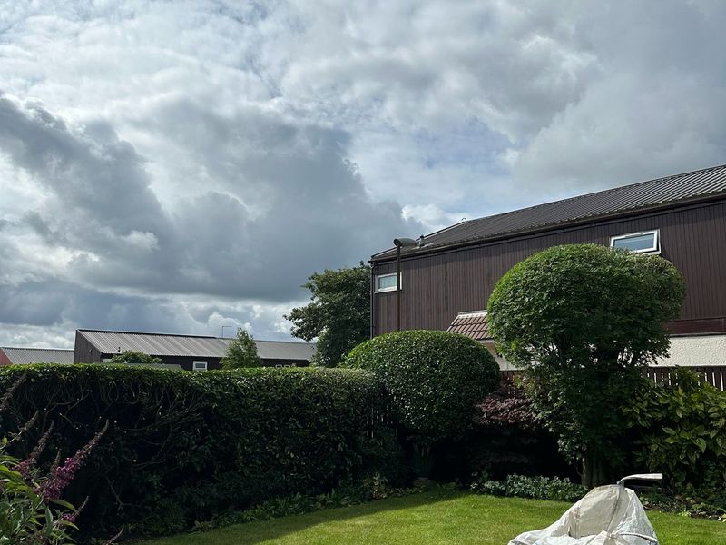 Garden Topiary by Ardilla Landscapes in Dundee