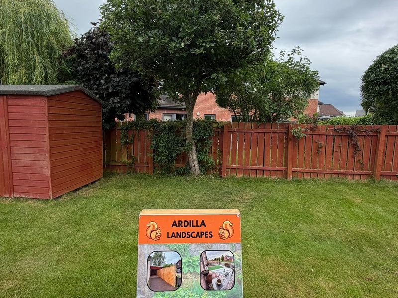 Tree Pruning and Lawn Tidy by Ardilla Landscapes in Dundee