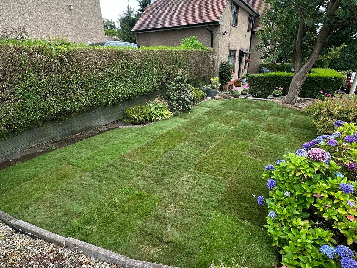 Freshly laid rear garden lawn completed by Ardilla Landscapes
