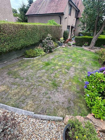 Before: Garden turfing, Dundee