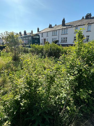 Before: Overgrown front garden clearance, Dundee