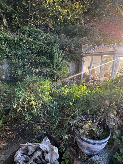 Before: Rear garden clearance and replanting, Dundee