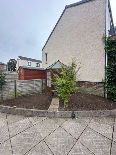 After: Rear garden clearance and replanting, Dundee