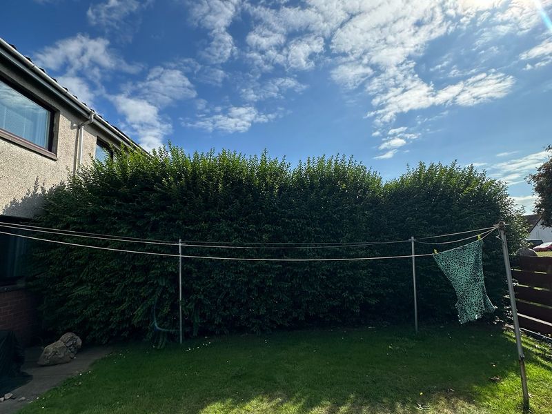 Rear Garden Hedge Trimming by Ardilla Landscapes in Dundee