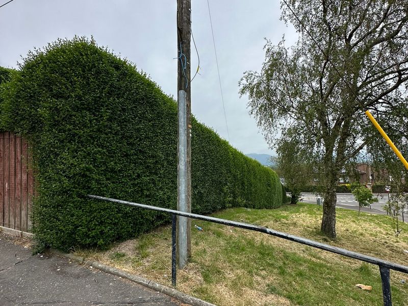 Boundary Hedge Trimming by Ardilla Landscapes in Dundee