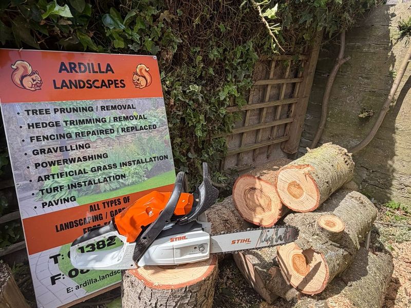 Tree Pruning and Removal by Ardilla Landscapes in Dundee